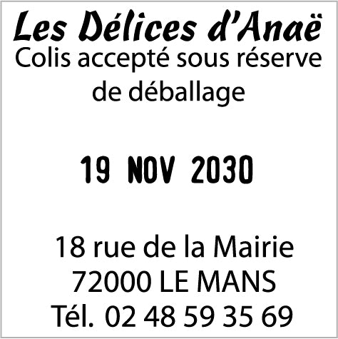 Trodat Printy Datario 4724 - 40 x 40 mm - 3+3 righe